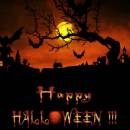 Halloween Bats Screensaver freeware screenshot