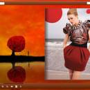 Flash Book Templates for Red Style freeware screenshot