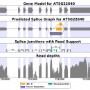 SpliceGrapher freeware screenshot