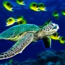 Sea Turtle Animated Wallpaper freeware screenshot