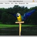 AV Digital Talking Parrot freeware screenshot