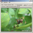 Scaling Watermark freeware screenshot