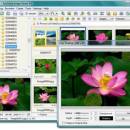 Faststone Image Viewer freeware screenshot