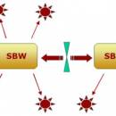 SBW - Systems Biology Workbench freeware screenshot