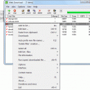 Web Downloader freeware screenshot