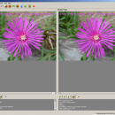 Steg Easy cross platform steganography freeware screenshot