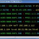 WinDump freeware screenshot